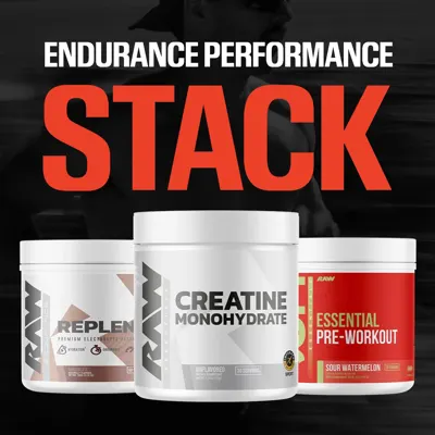 Endurance Performance Stack - Chocolate / 100 Servings / Raspberry Creamthickle