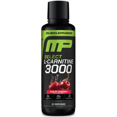 Select L-Carnitine 3000